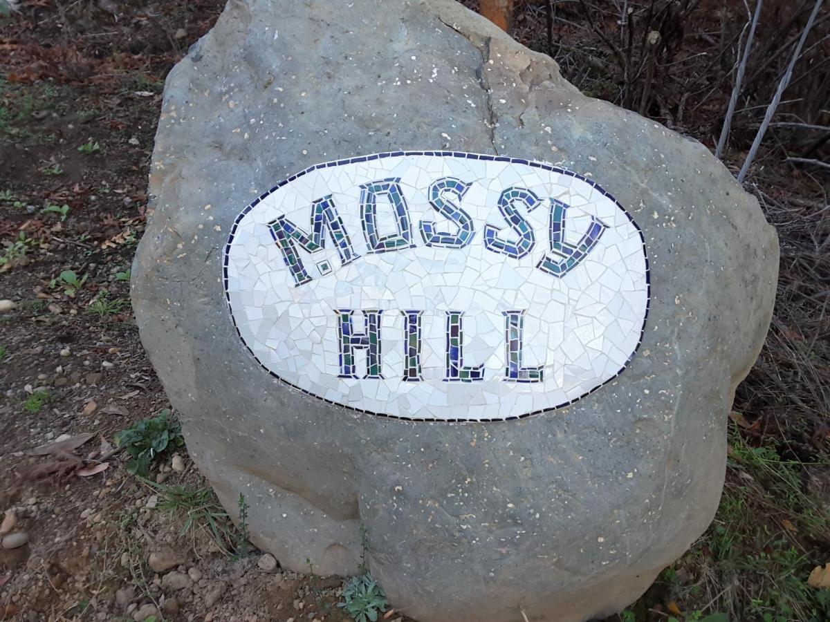 Mossy Hill Suite Ганг Экстерьер фото